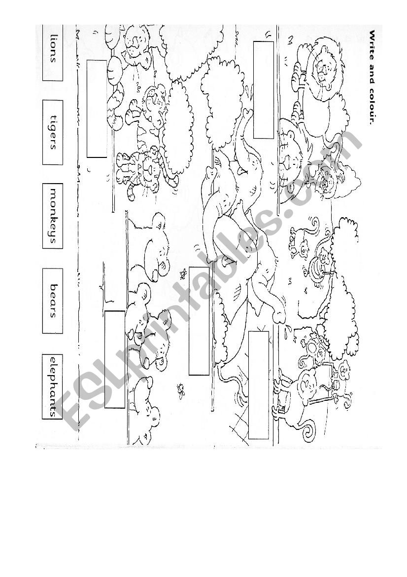 Animals worksheet