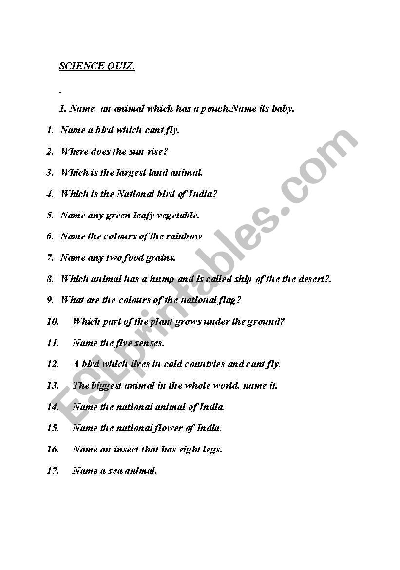 quiz worksheet