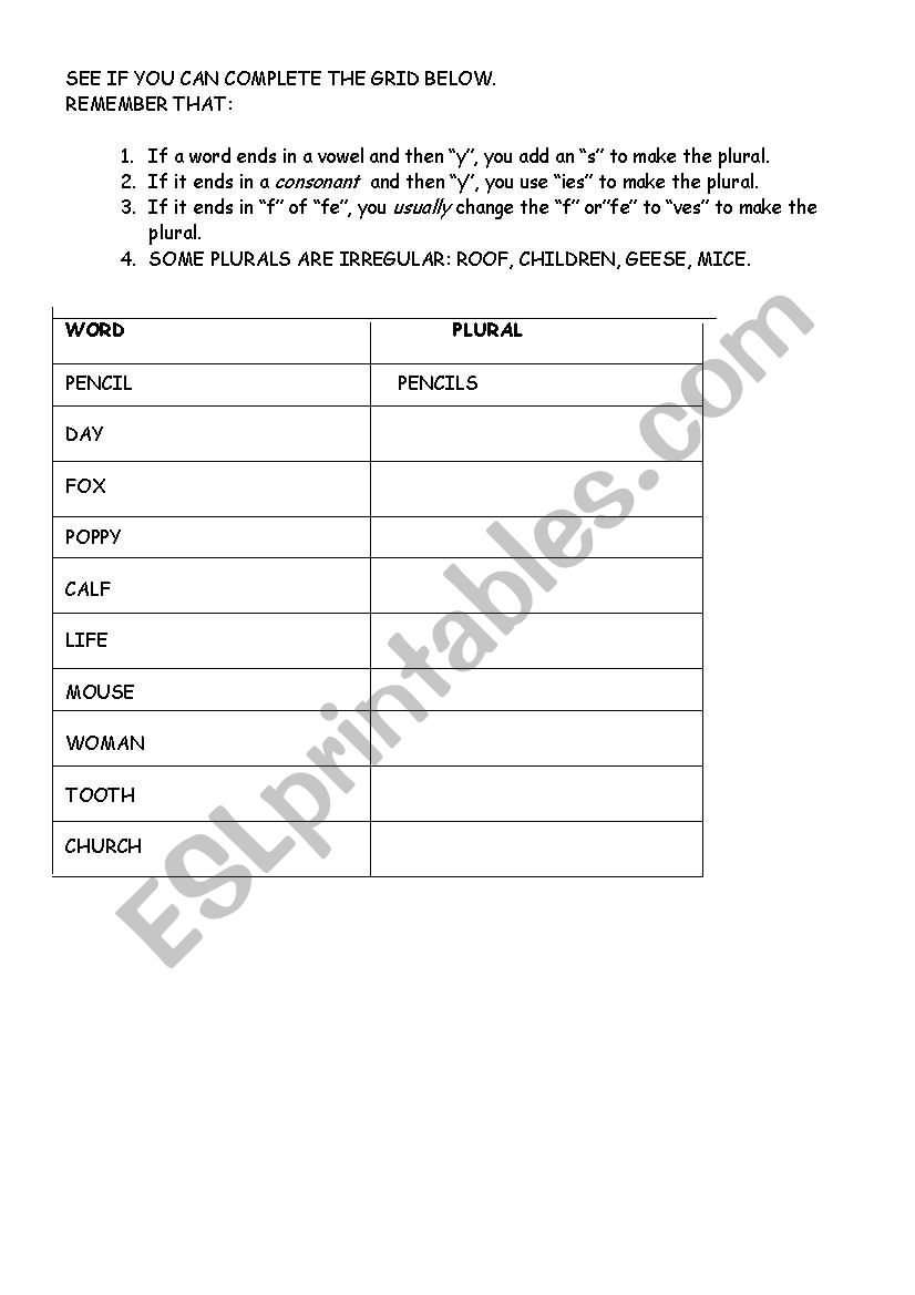 Make the plural worksheet