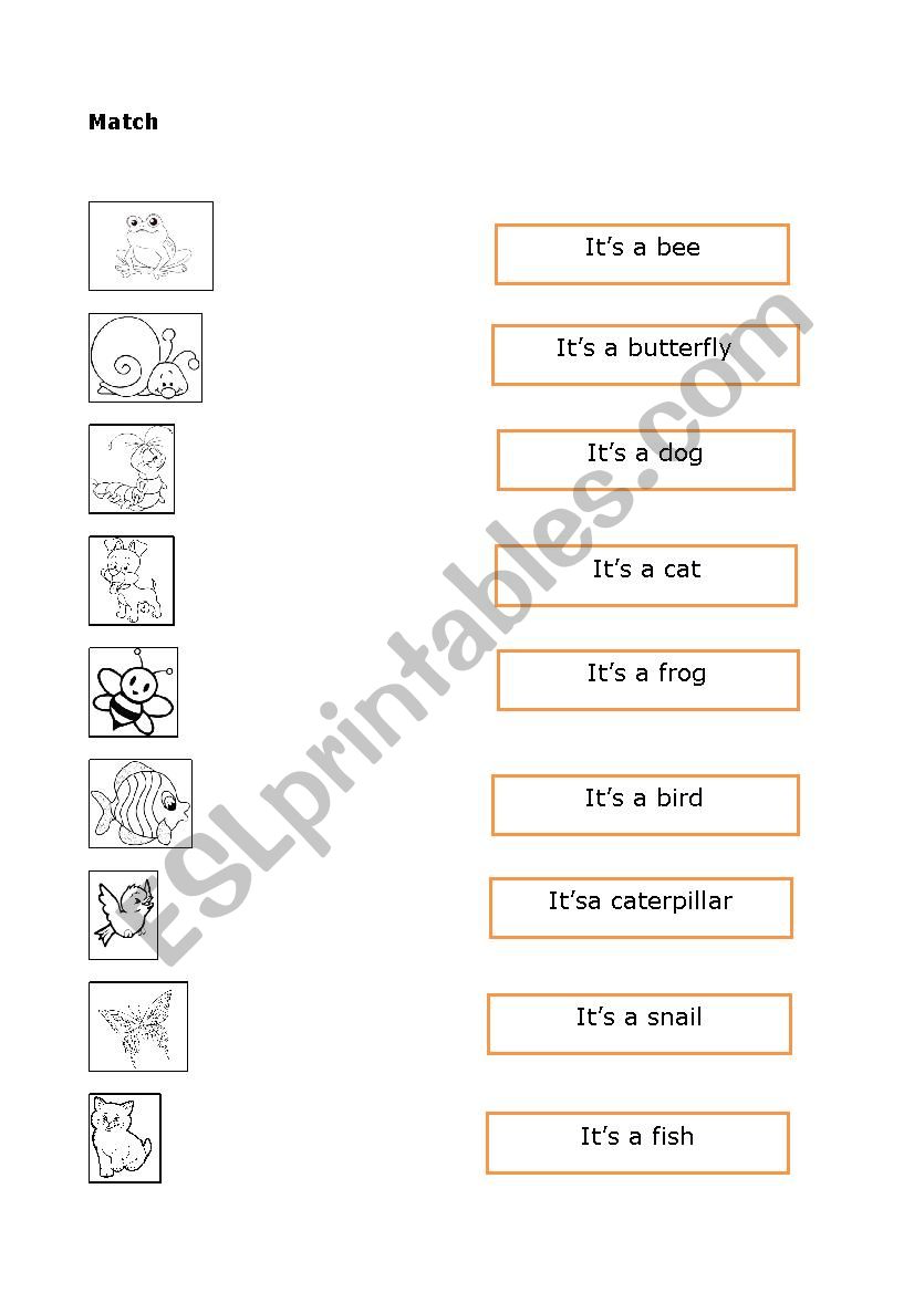 Animals worksheet