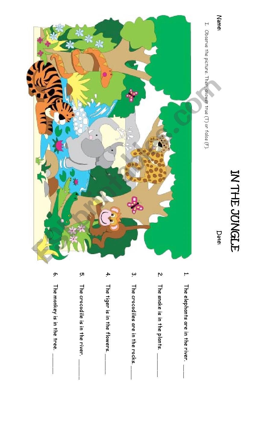 in the jungle worksheet