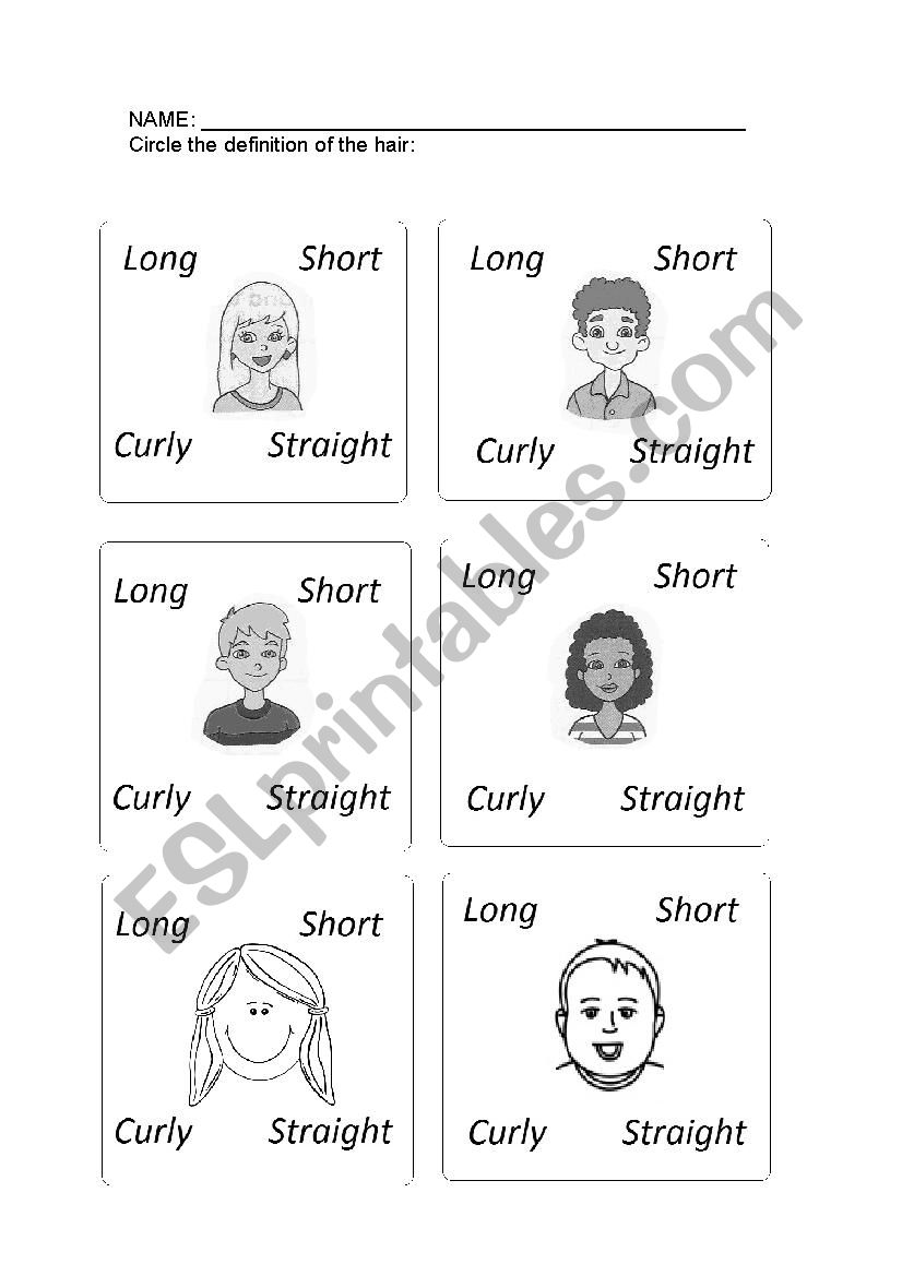 Types of hair worksheet