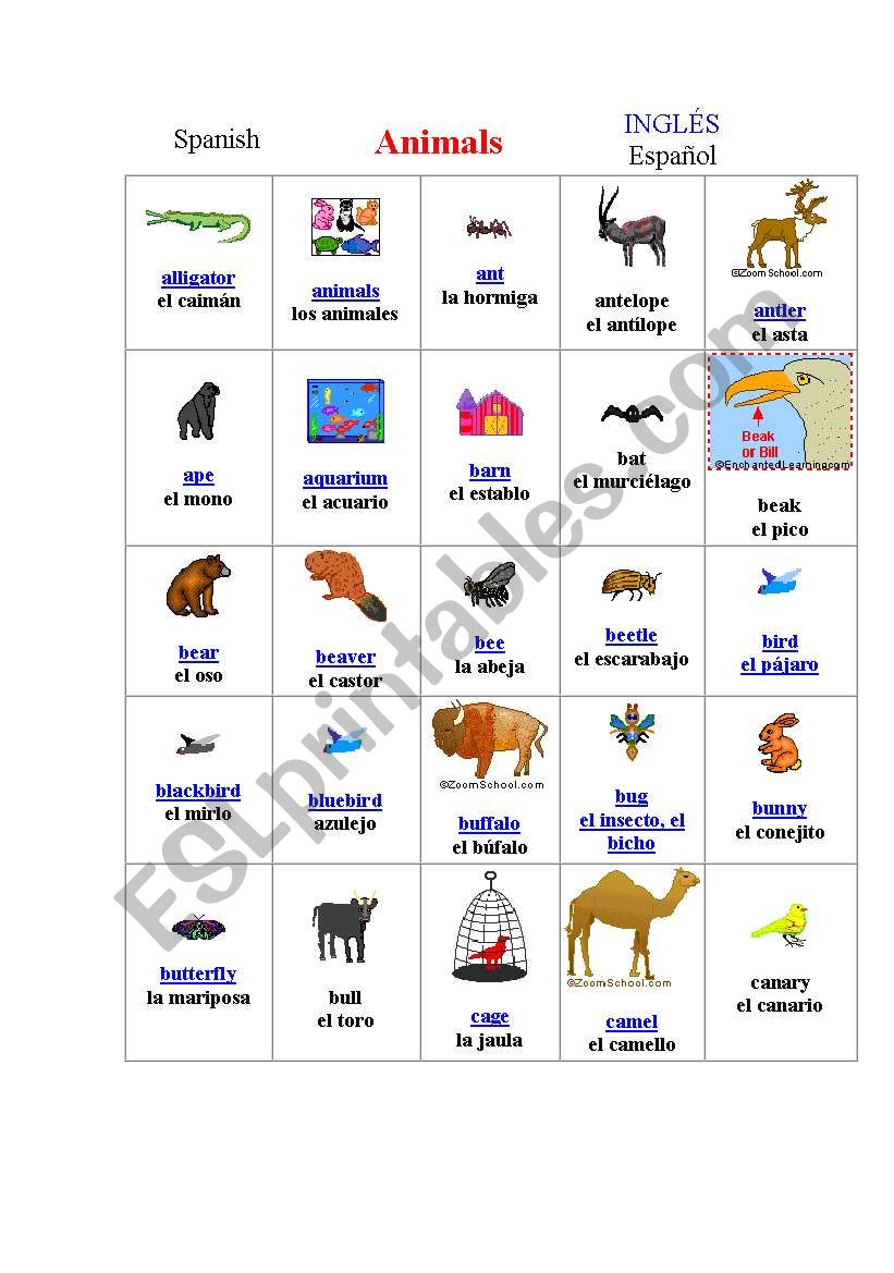 Animals of all types worksheet