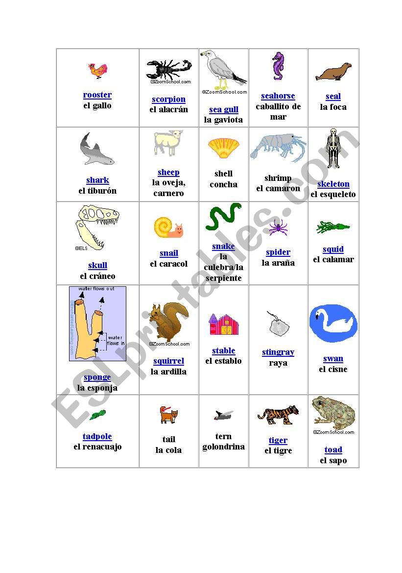 all types of animals part 2 worksheet