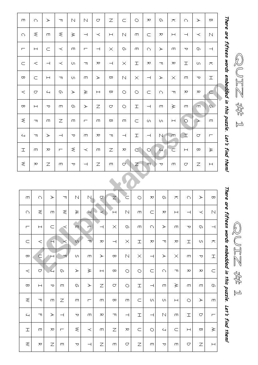 vocabulary quiz worksheet