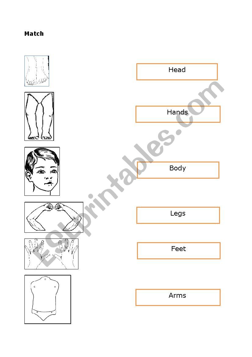 My body worksheet