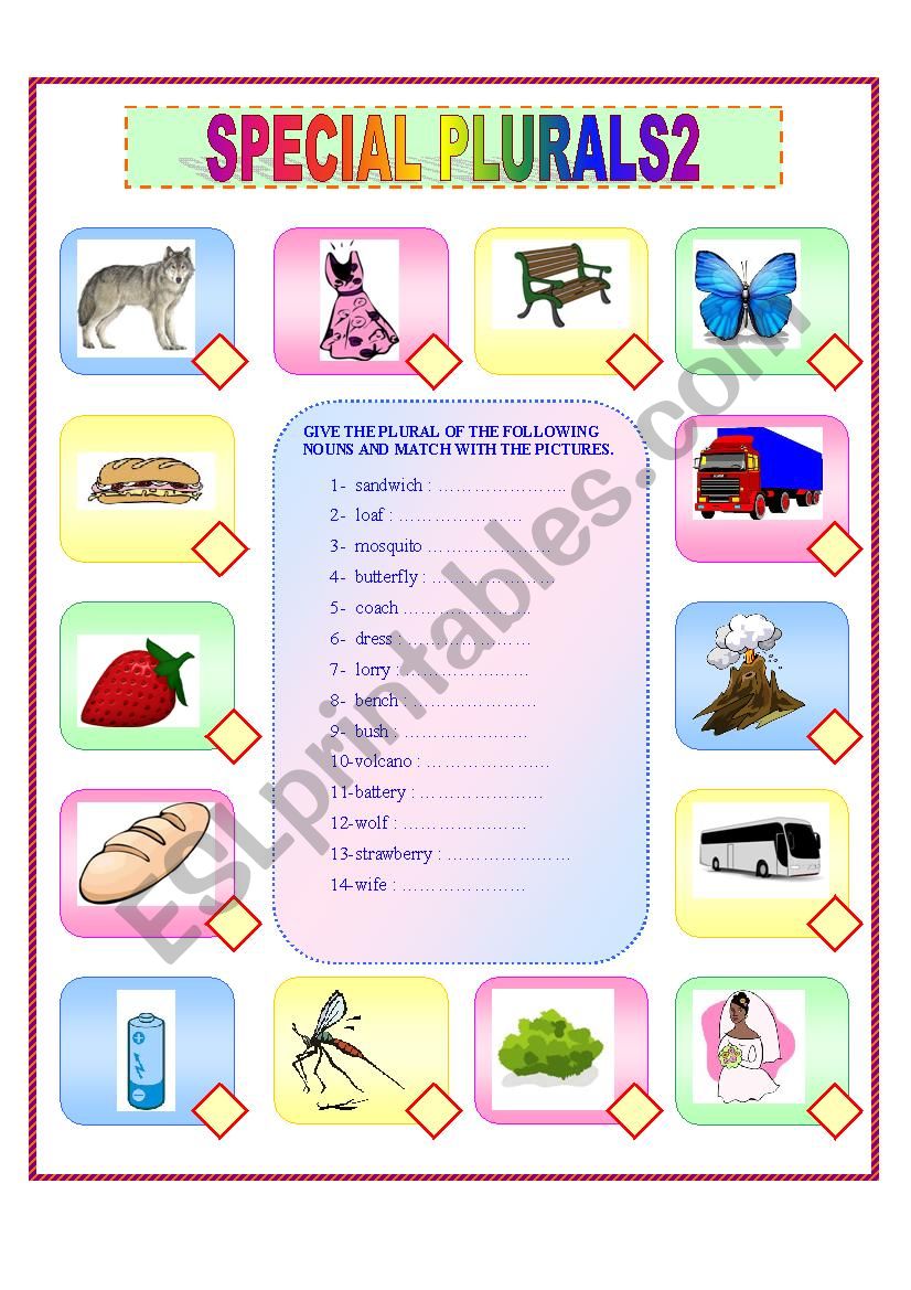 SPECIAL PLURALS 2 worksheet