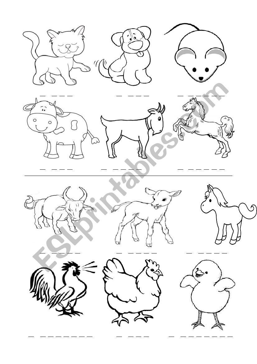 Animals 1/4 worksheet