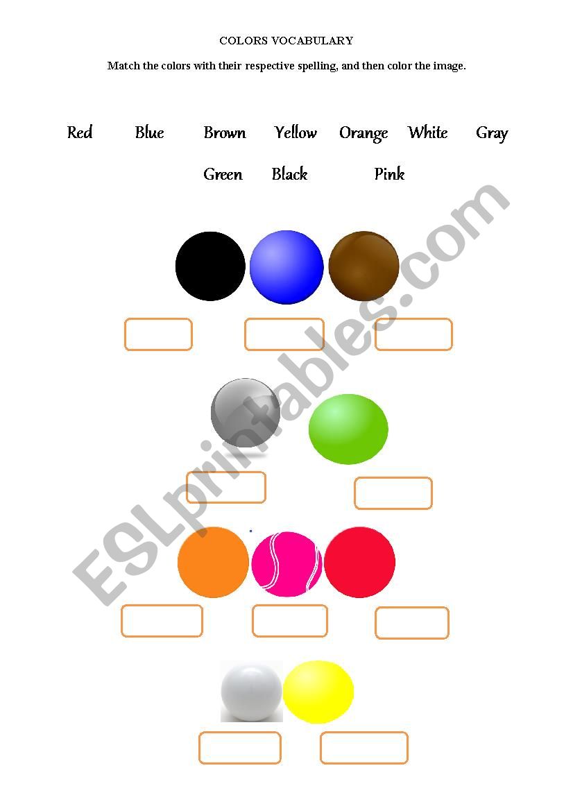 Colors Vocabulary worksheet