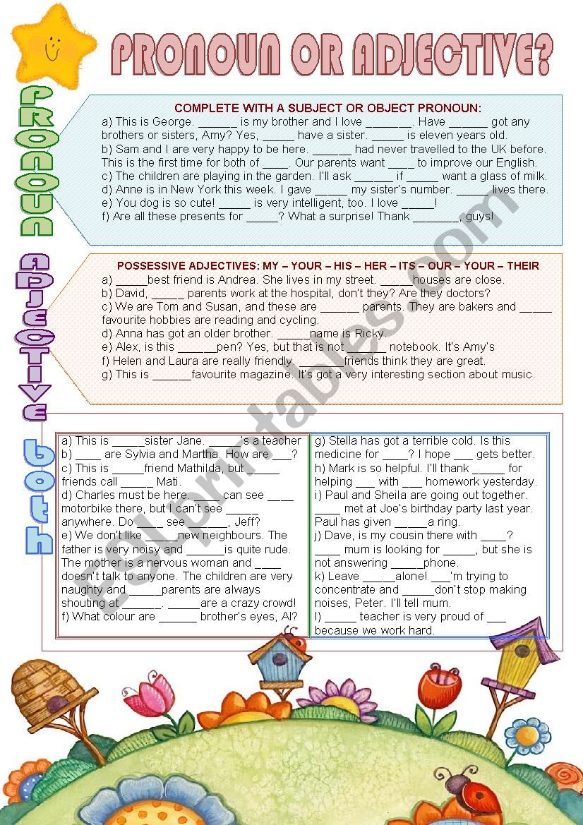 Pronoun or adjective? worksheet