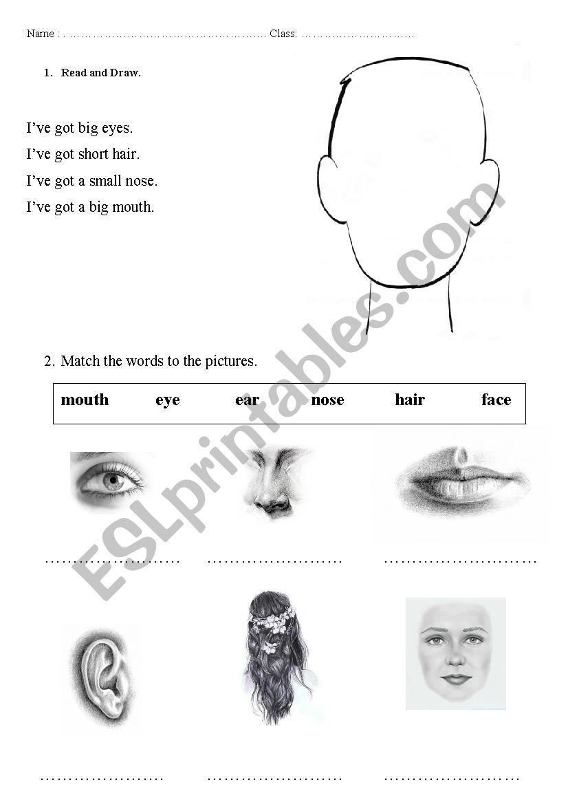 face exercises worksheet
