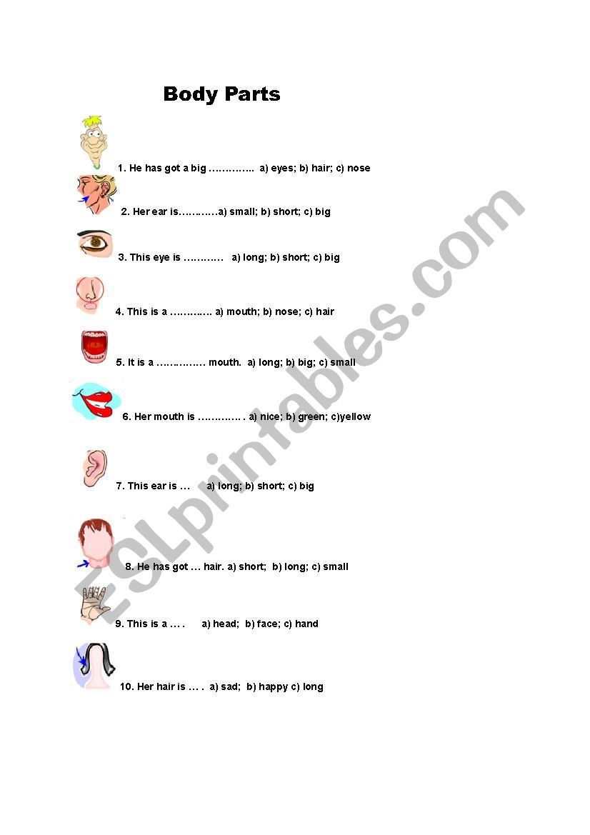 Body Parts worksheet