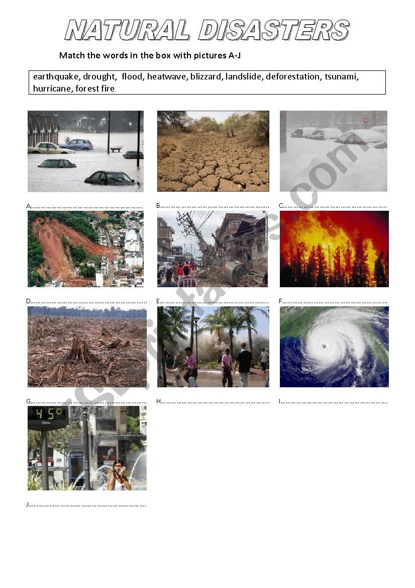 Natural Disasters Vocabulary worksheet
