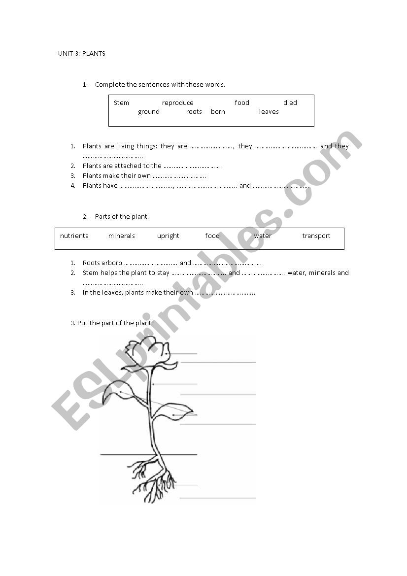 PLANTS worksheet