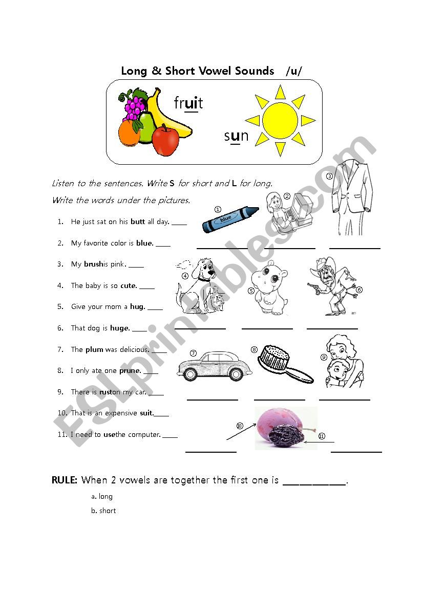 Long and Short Vowel Sounds /u/