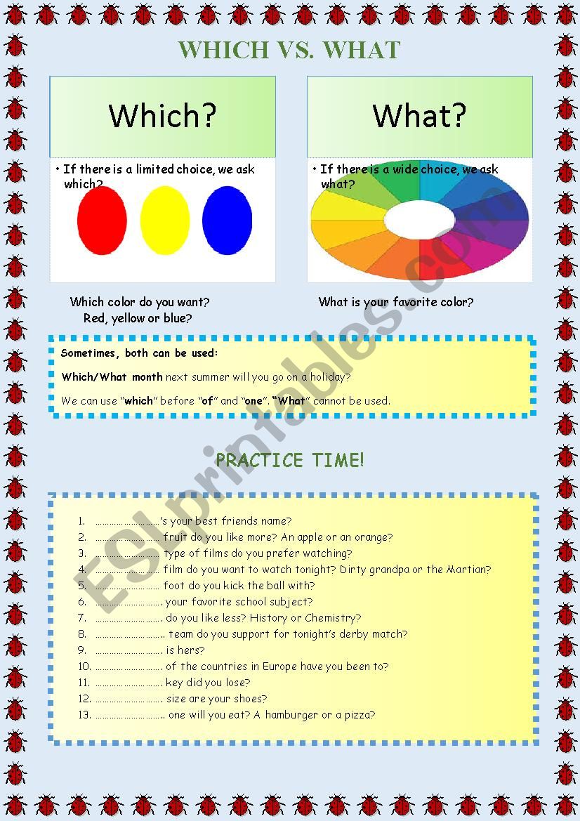 Which? vs. What? worksheet