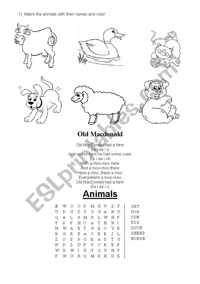 ANIMALS  worksheet