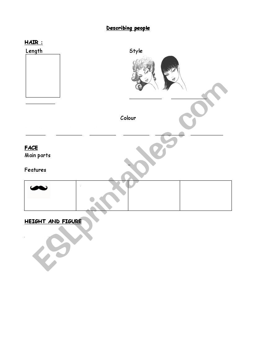 Physical description worksheet