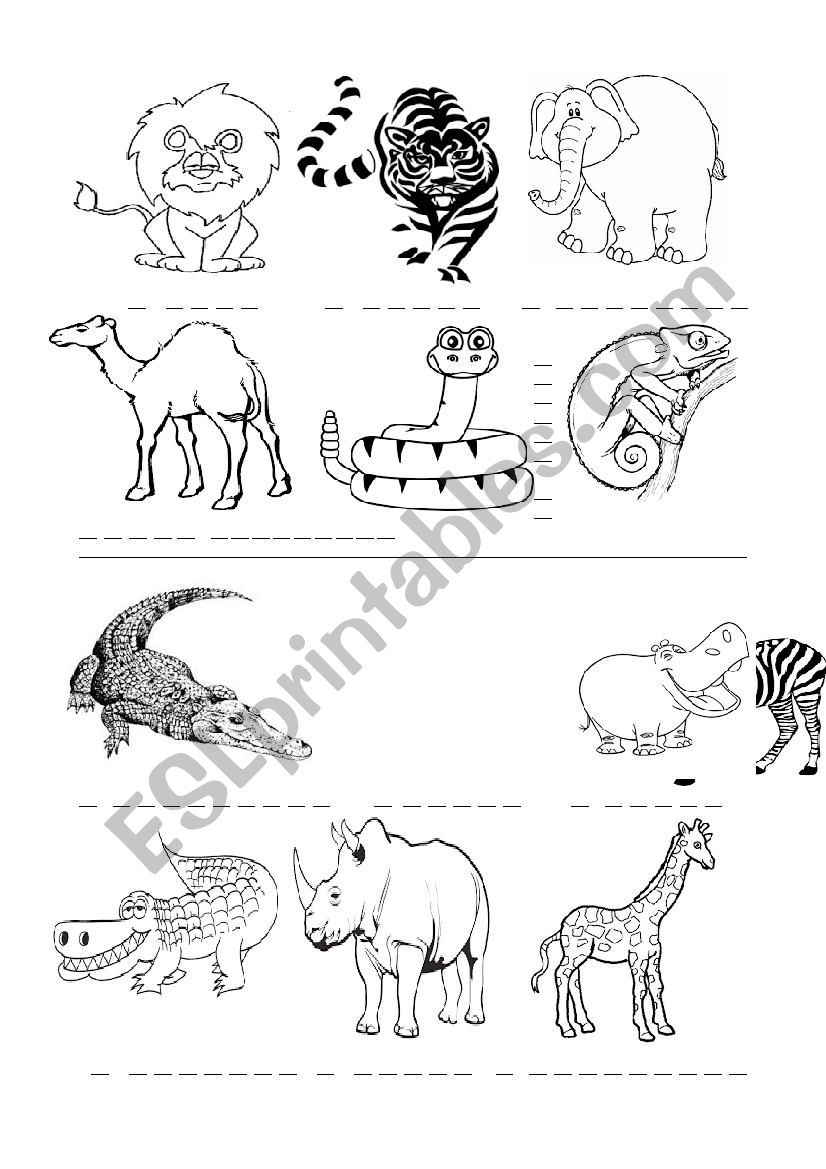 Animals 3/4 worksheet