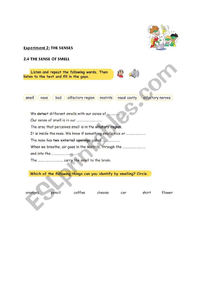 The senses (English Science) worksheet