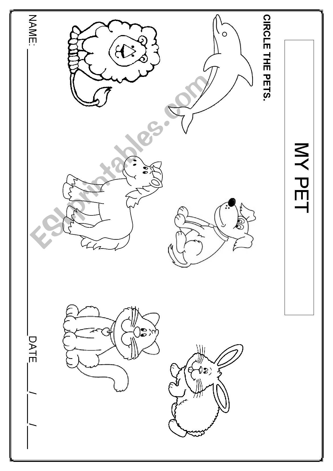 My pets worksheet