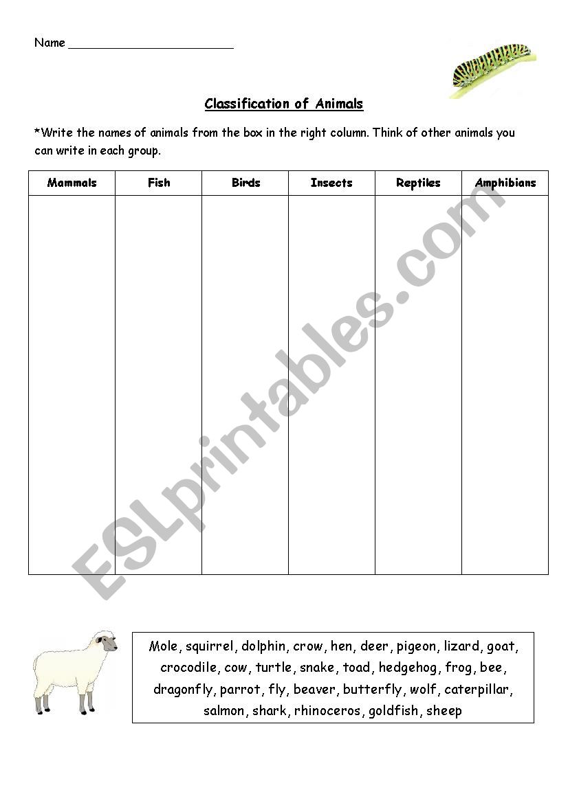 Classification of Animals. Exercise - ESL worksheet by TreeofLight