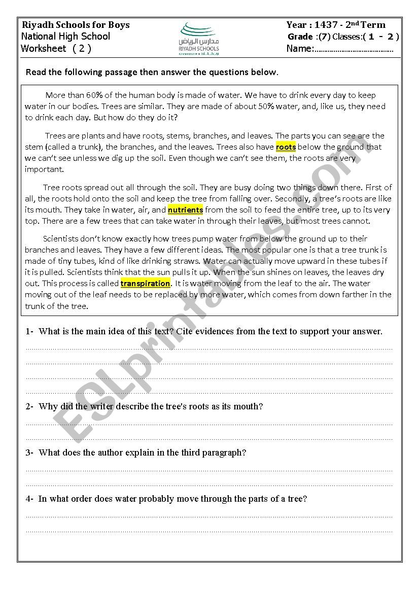 Reading Comprehension worksheet