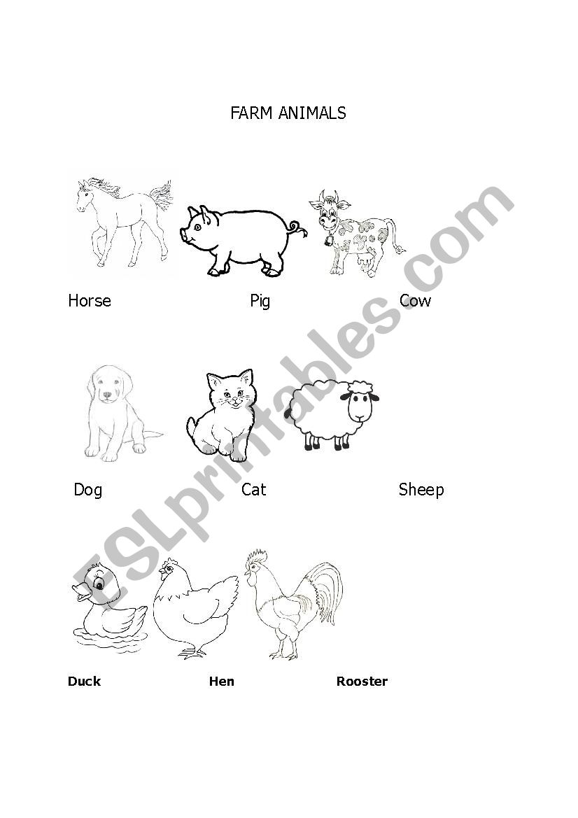 Farm Animals worksheet