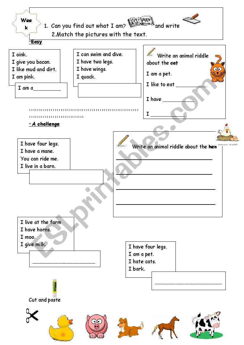 animal riddles worksheet