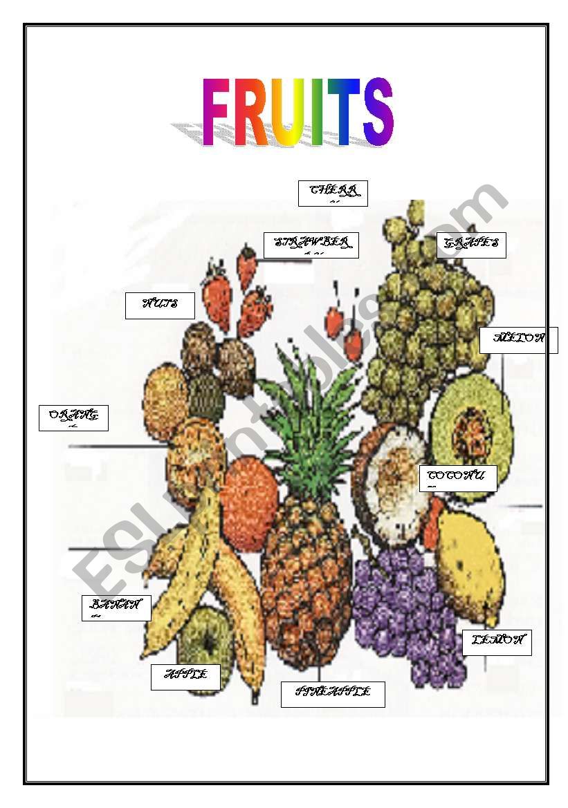 FRUITS worksheet