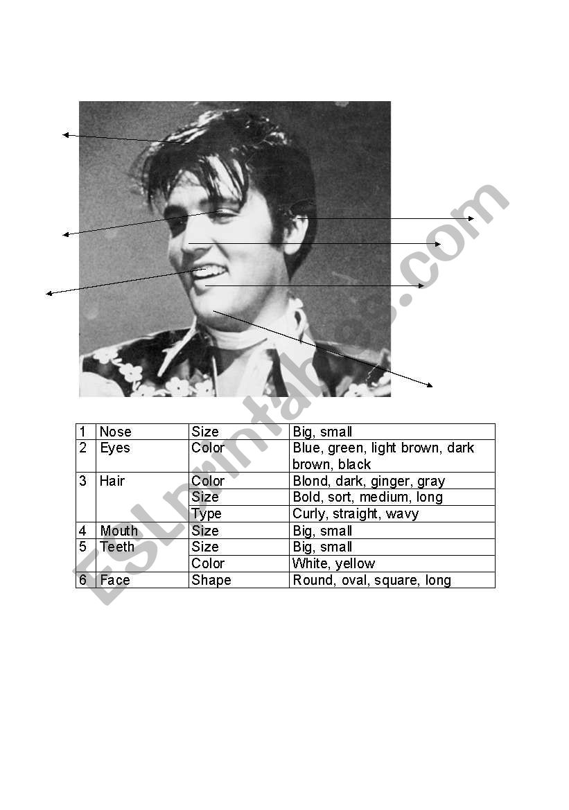 physical descriptions worksheet