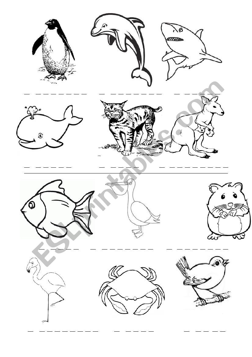 Animals 4/4 worksheet