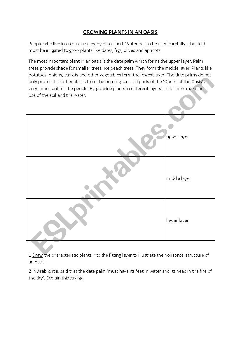 Vegetation layers in an oasis worksheet