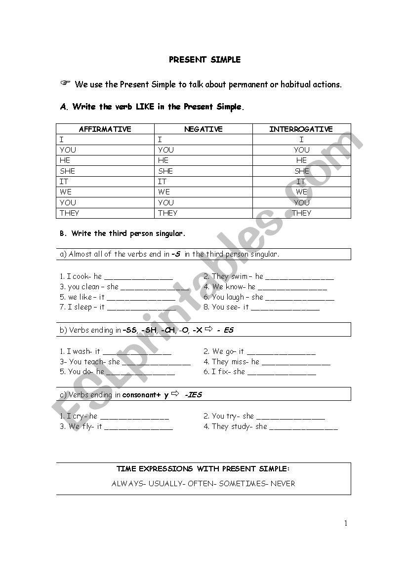 Simple Present  worksheet