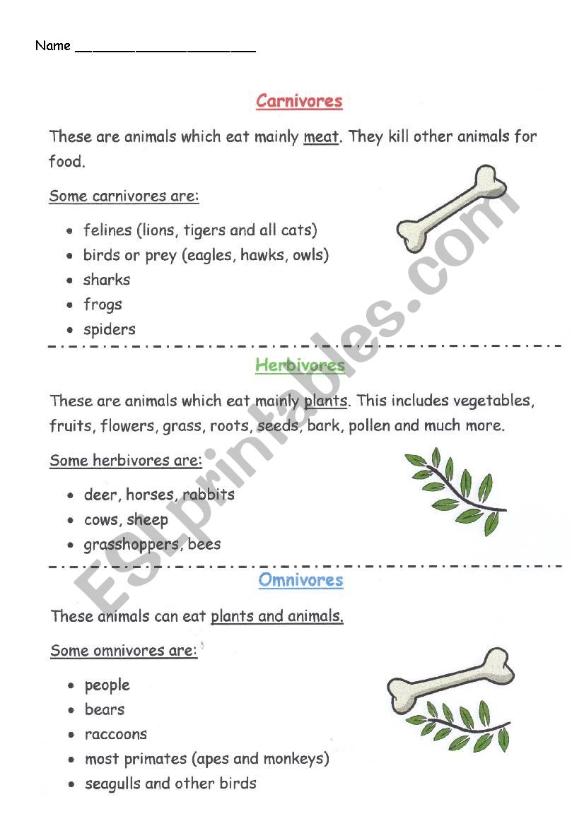 Carnivore, Herbivore or Omnivore. Text