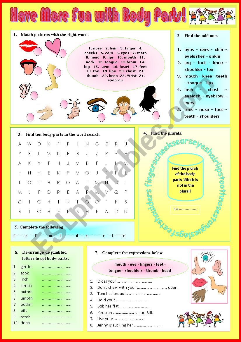 Vocab - Have More FUN with BODY PARTS - 2 + Key