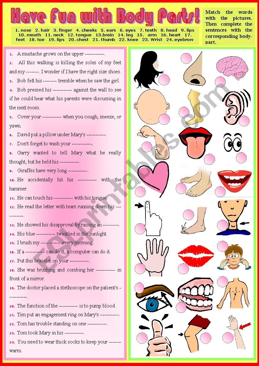 Vocab. Have Fun with body parts - 1 + KEY 