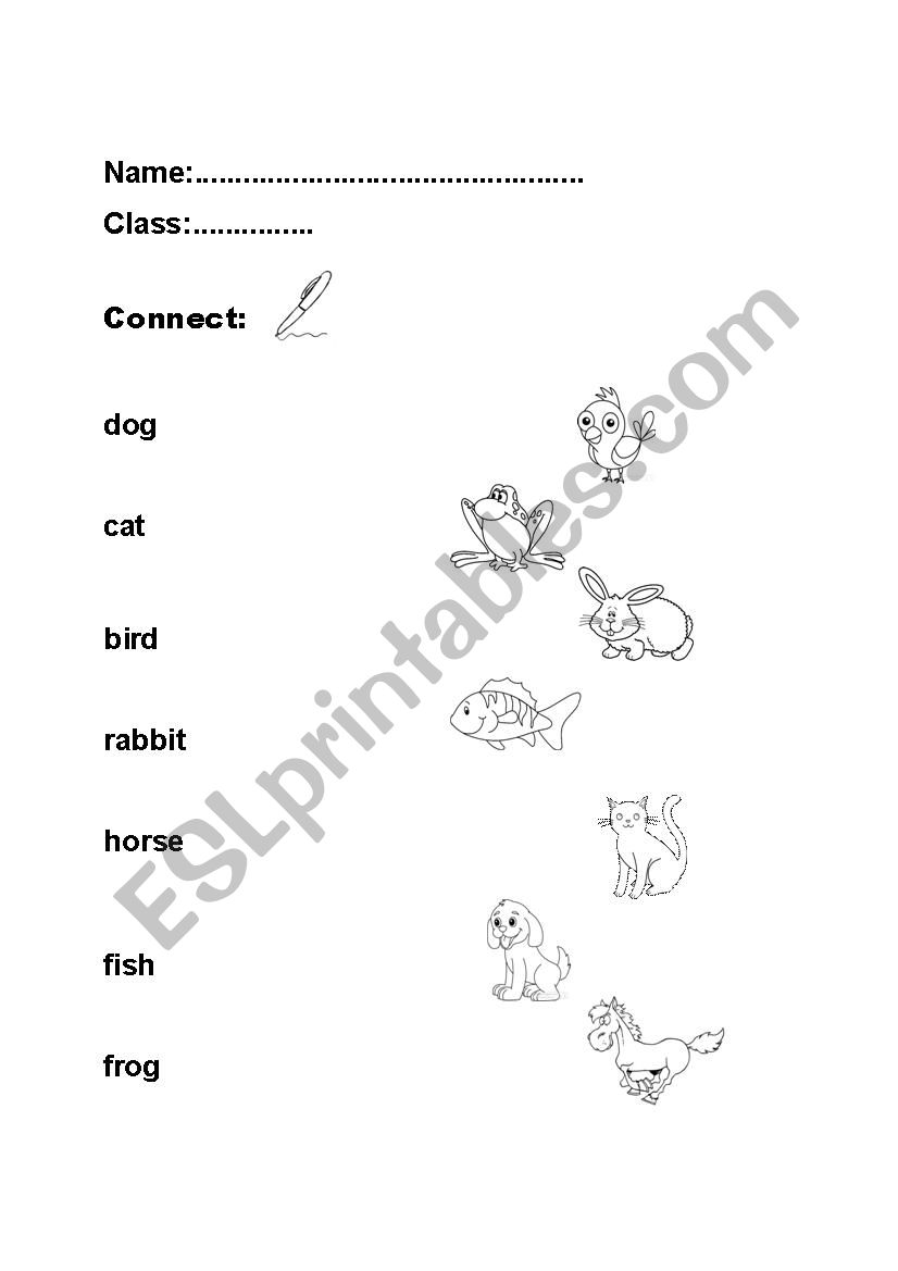 Connect the animals worksheet