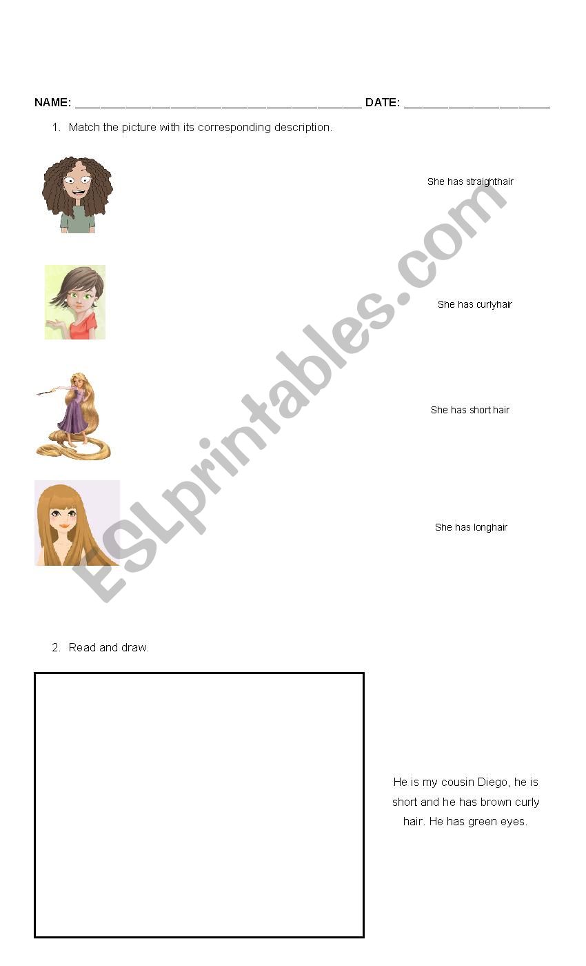 Physical description worksheet