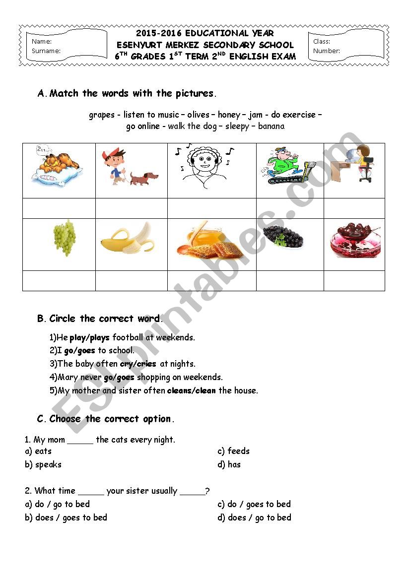 6th grade exam worksheet