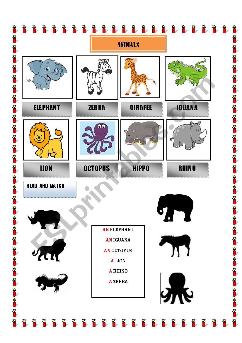 animals worksheet