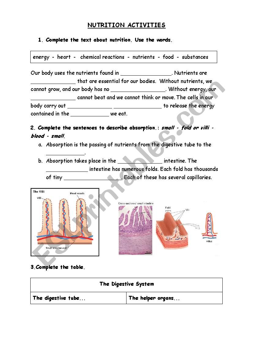 Nutrition Activities worksheet