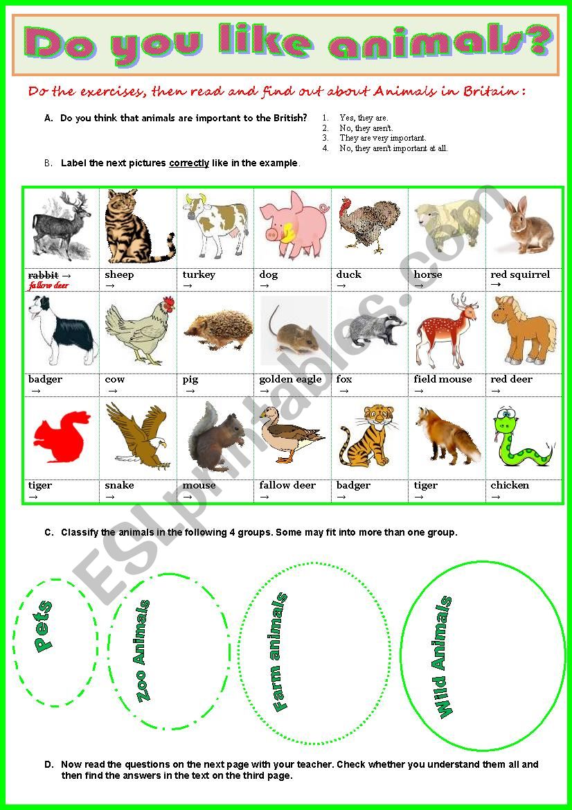 Animals in Britain  -  Reading + vocabulary exercises + Key