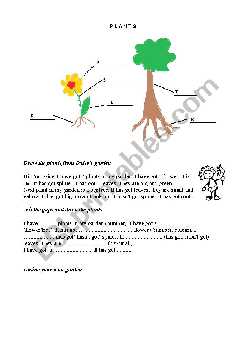 Plants worksheet