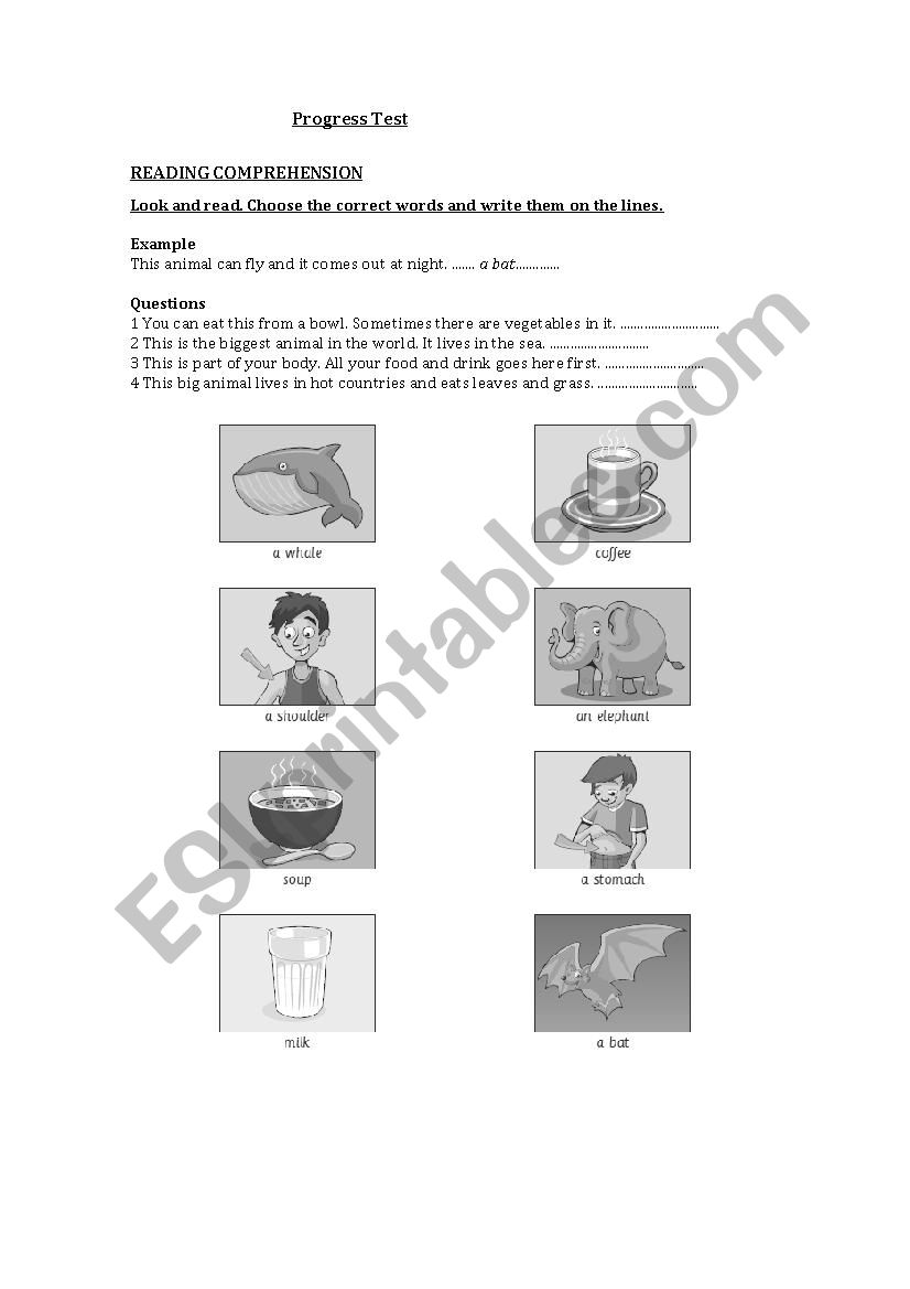 Progress Test Kids Movers Reading  Past Simple Questions