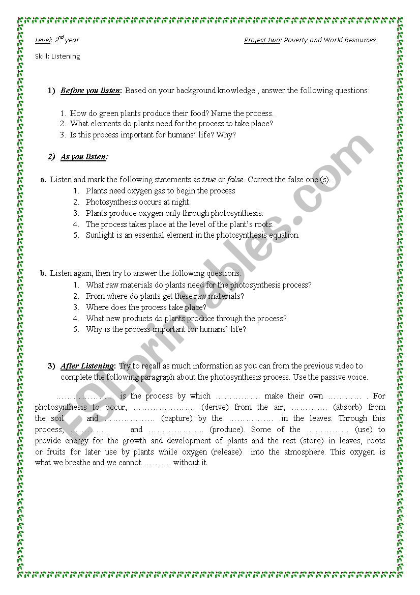 the photosynthesis process worksheet