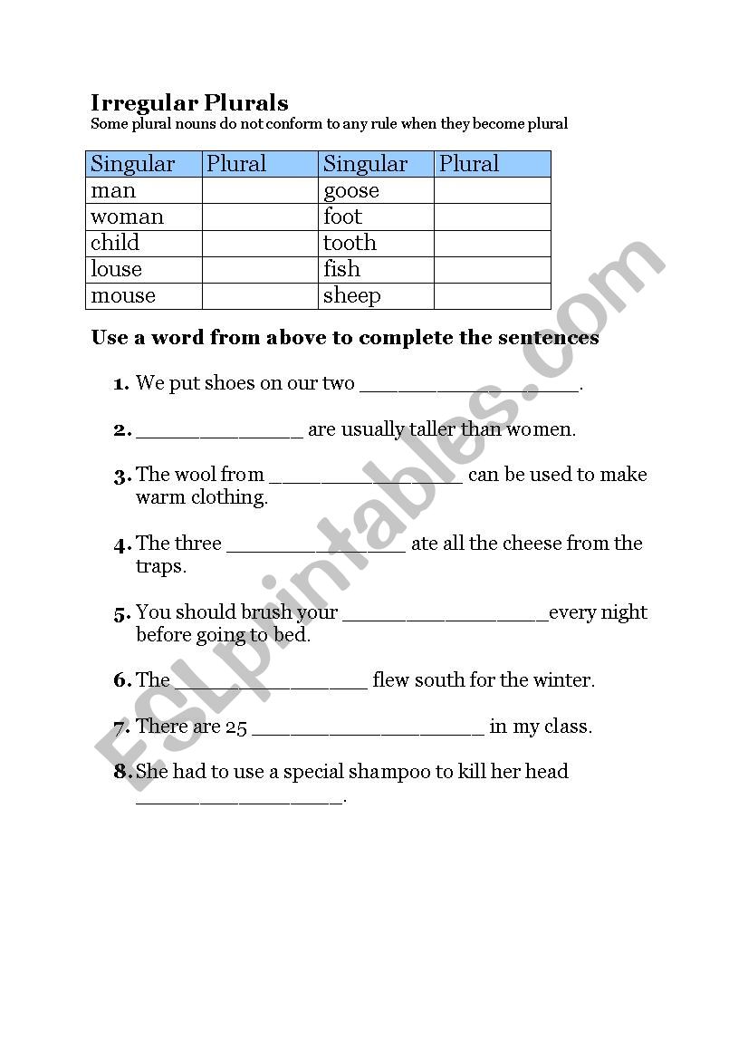 Irregular plurals worksheet