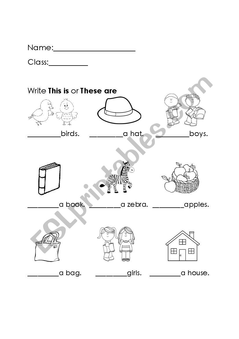 This is or These are worksheet