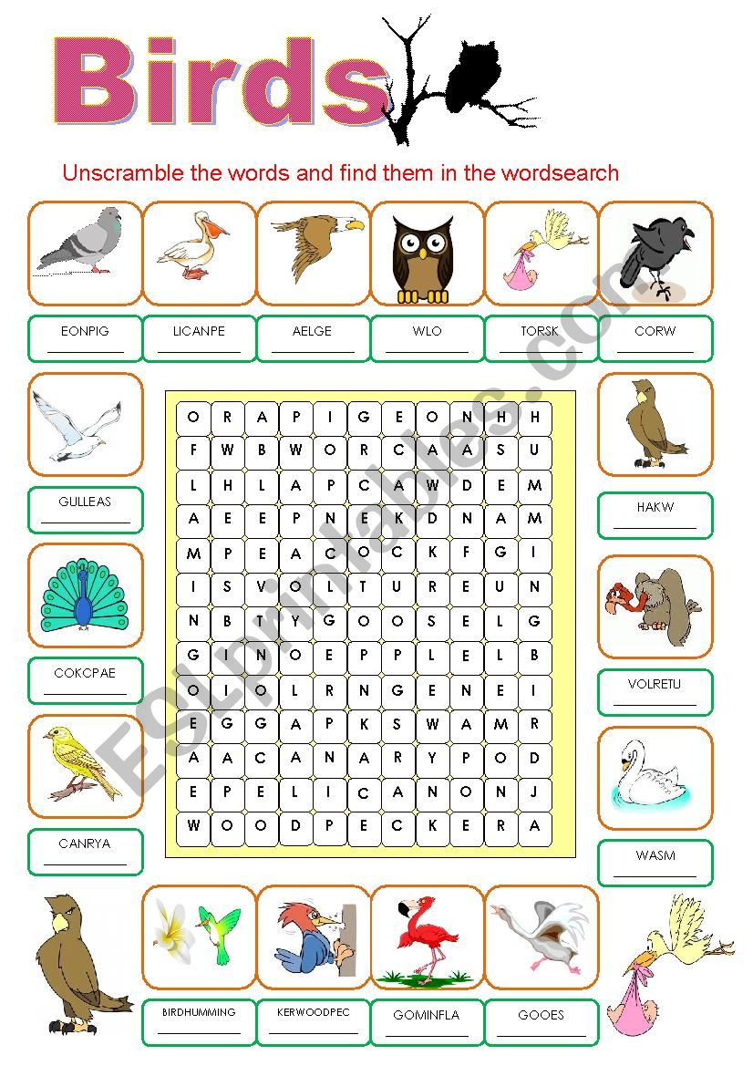 Найди слово птицы 5. Birds Wordsearch. Birds Wordsearch for Kids. Birds ESL. Birds Vocabulary for Kids.