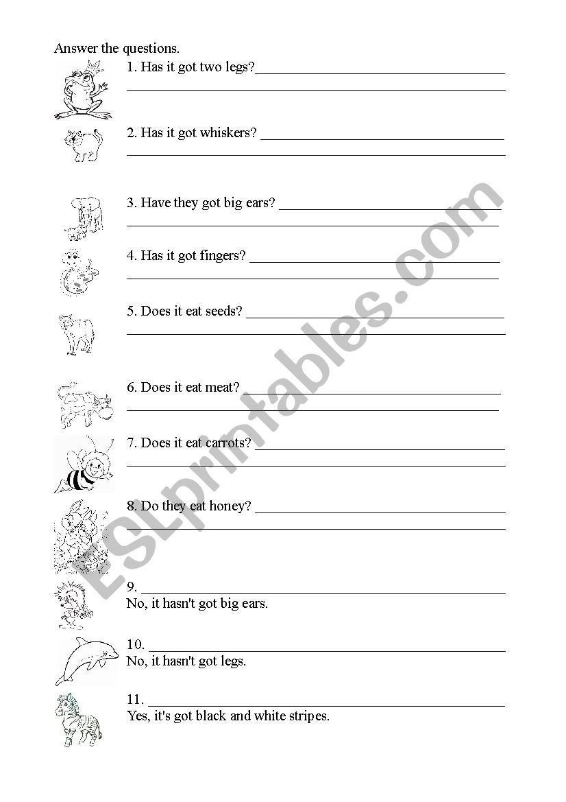 Some questions about animalsÂ´ appearance and food likes and dislikes